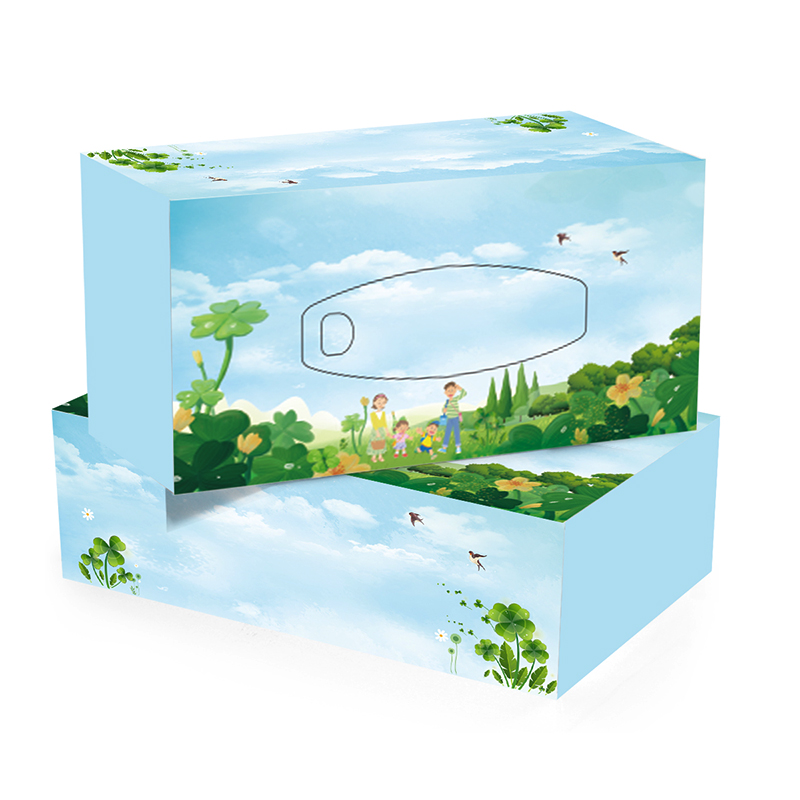 蔡伦竹海 FH516 双层纯木浆抽纸 14g 200抽 计价单位:盒