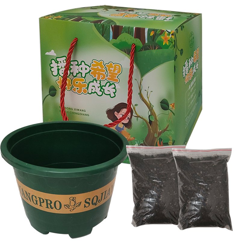 DOBINT 20*20*14.5cm 硕果累累花盆套装 计价单位:套