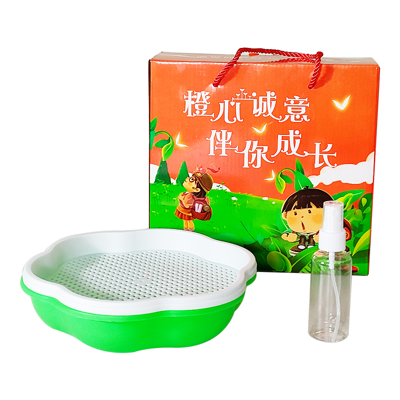 沁欣 20.5*6cm 诚心诚意伴你成长种植盆套装 计价单位:套