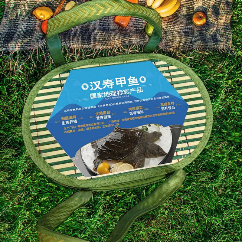 鲜禾鲜 生态甲鱼 野外塘养团鱼 3.6斤 可定制